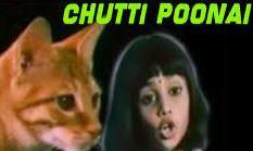 Chutti Poonai cover