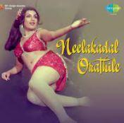 Neela Kadal Orathile cover
