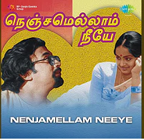 Nenjamellam Neeye cover