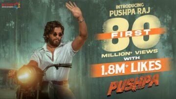 Pushpa – The Rise cover